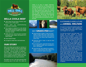 New Grass Fed Beef Co., Tri-Fold Brochure | Brochure Design by LeavingImpression