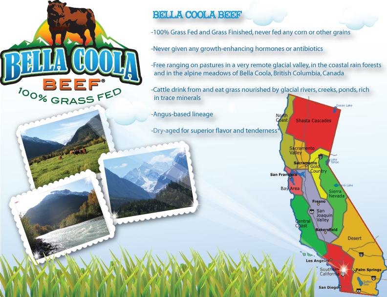 Brochure Design by DesignMedia for this project | Design #854466