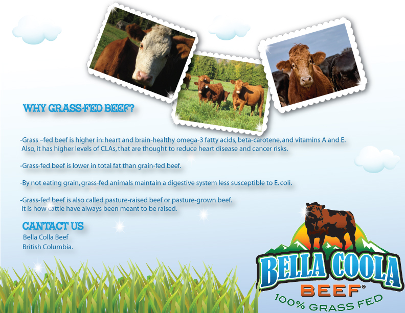 Brochure Design by DesignMedia for this project | Design #854473