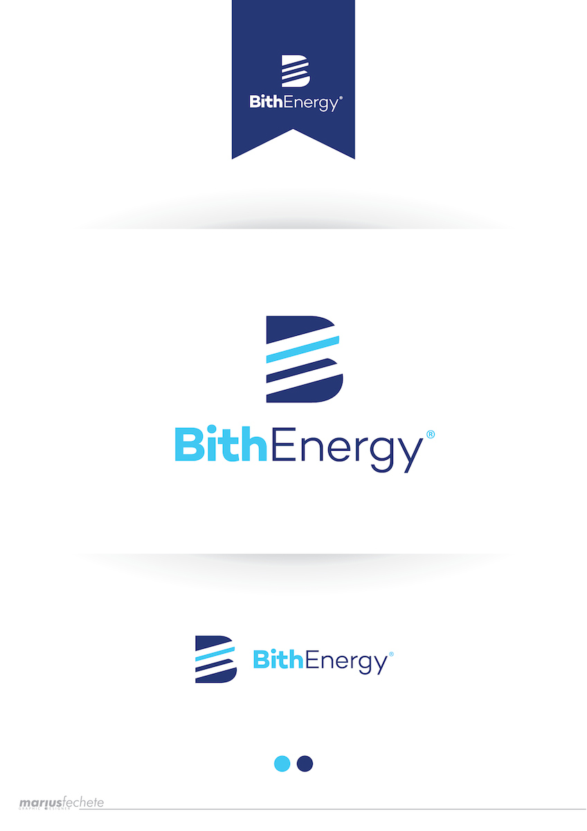 Logo Design by Marius Fechete for this project | Design #3464677