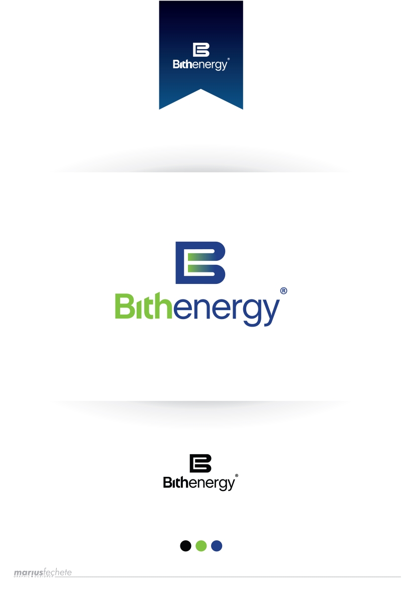 Logo Design by Marius Fechete for this project | Design #3501385