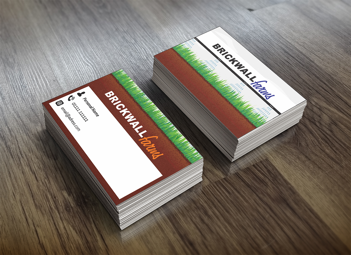Business Card Design by EvertonPereira for this project | Design #3421895