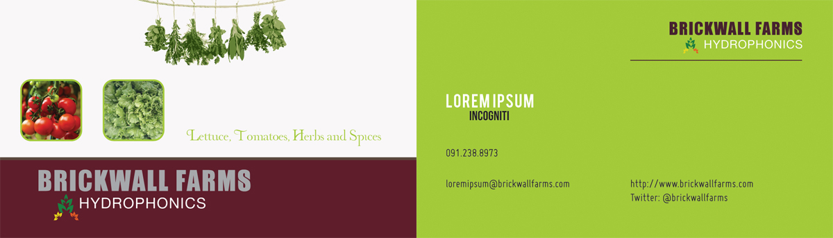 Diseño de Tarjeta de Presentación por Venus L. Penaflor para este proyecto | Diseño #3367354