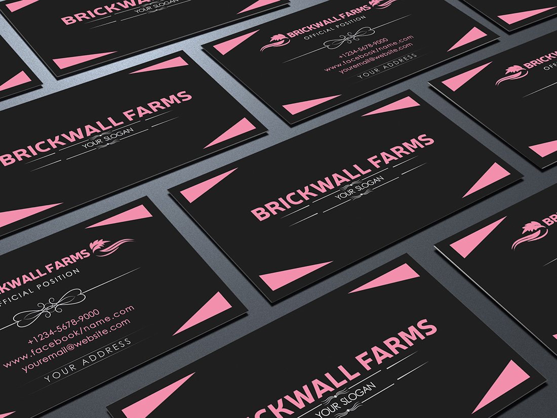 Business Card Design by Aryan Yoba Zr  for this project | Design #3362777