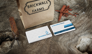Business Card Design by Aryan Yoba Zr  for this project | Design: #3362787