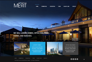 Web Design by pb for this project | Design: #3368573