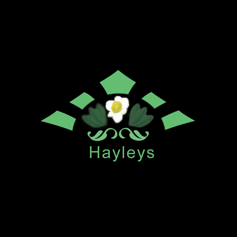 Logo Design by Creativeaction for this project | Design #3423818