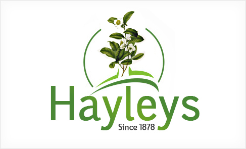 Logo Design by guruinfoways for this project | Design #3365435