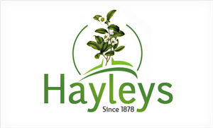 Logo Design by guruinfoways