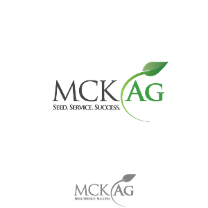 Logo Design by Phenex Designs