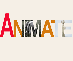 Logo Design by Brucewayne
