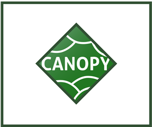 Logo Design by Tycoone