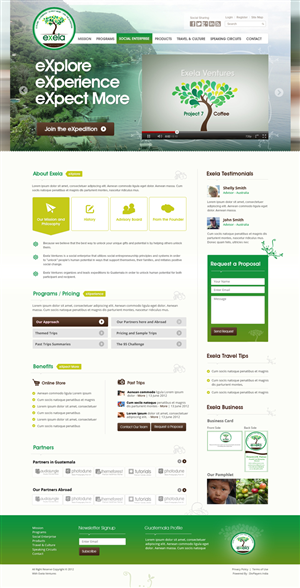 Wordpress Design by the-lion-king for Exela Ventures LLC | Design: #845271