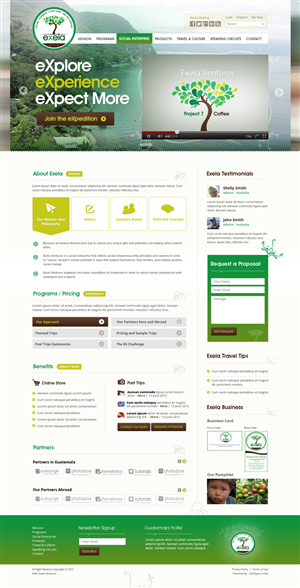 Wordpress Design by the-lion-king for Exela Ventures LLC | Design: #845276