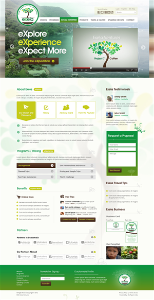Wordpress Design by the-lion-king for Exela Ventures LLC | Design: #849347