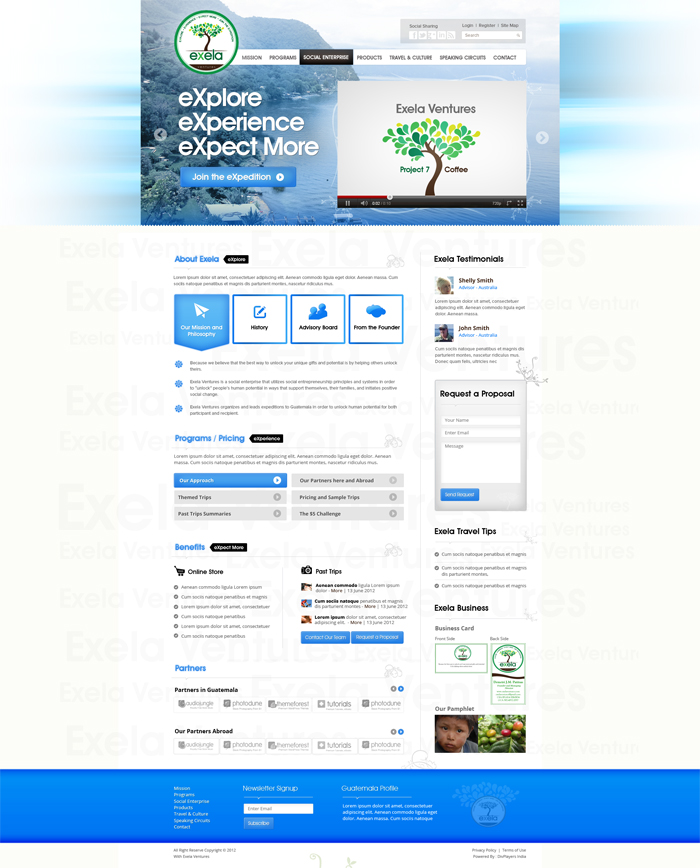 Diseño Wordpress por the-lion-king para Exela Ventures LLC | Diseño #851511