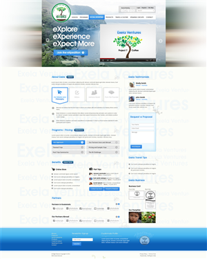 Wordpress Design by the-lion-king for Exela Ventures LLC | Design: #851515
