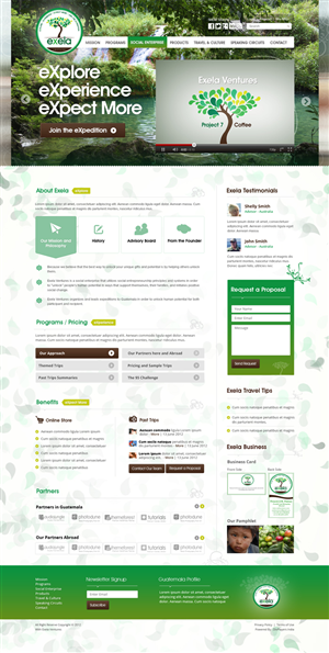 Wordpress Design by the-lion-king for Exela Ventures LLC | Design: #859511