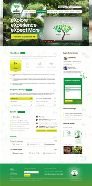 Wordpress Design by the-lion-king for Exela Ventures LLC | Design: #871449