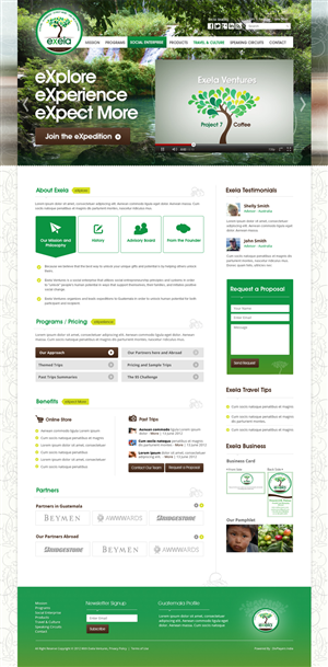 Wordpress Design by the-lion-king for Exela Ventures LLC | Design: #874419