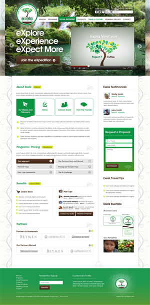 Wordpress Design by the-lion-king for Exela Ventures LLC | Design: #876782