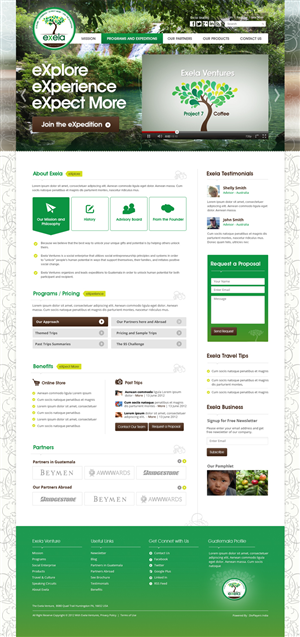 Wordpress Design by the-lion-king for Exela Ventures LLC | Design: #889056