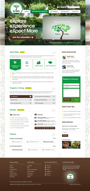 Wordpress Design by the-lion-king for Exela Ventures LLC | Design: #889068
