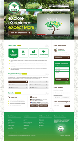 Wordpress Design by the-lion-king for Exela Ventures LLC | Design: #896317