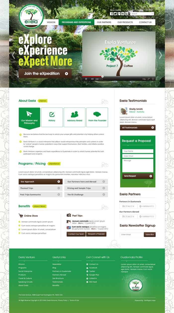 Wordpress Design by the-lion-king for Exela Ventures LLC | Design #896327