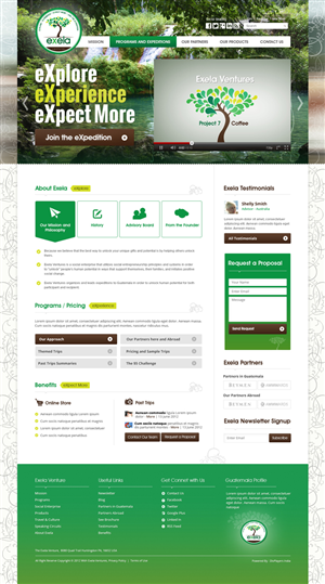 Wordpress Design by the-lion-king for Exela Ventures LLC | Design: #921822
