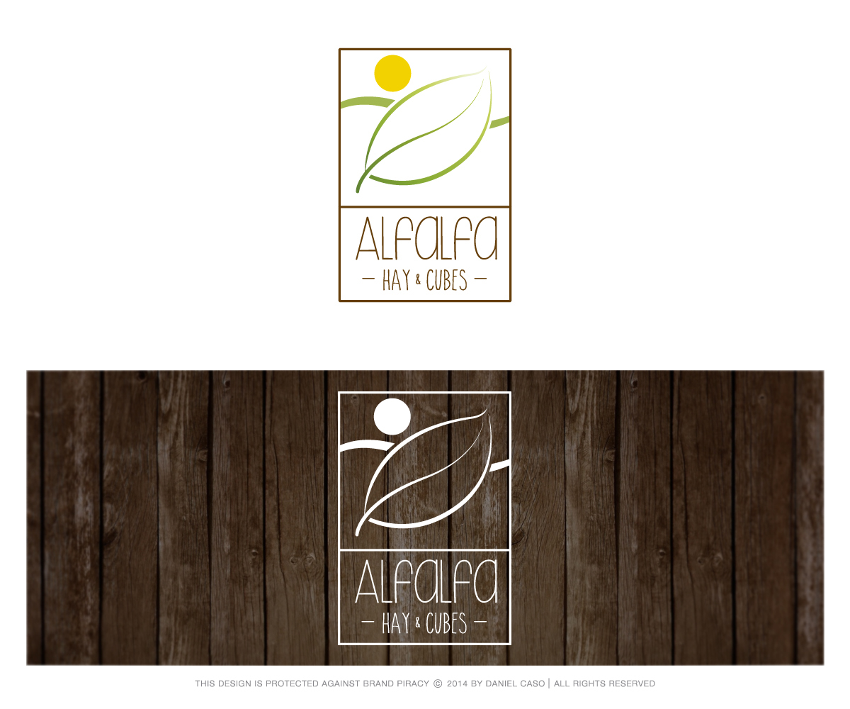 Logo Design by Daniel Caso Design for this project | Design #3399155