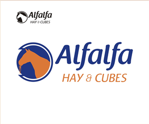 Logo Design by ferry_studio for this project | Design: #3364583