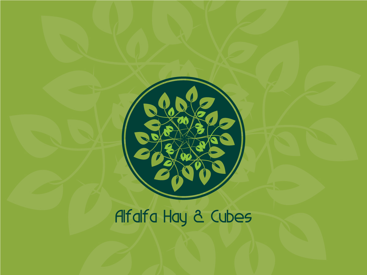 Diseño de Logo por cmyk.crowd para este proyecto | Diseño #3410298