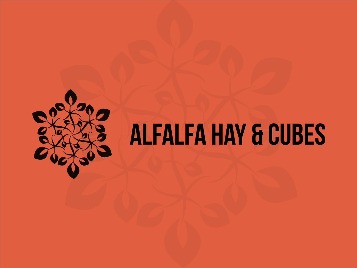 Logo Design by cmyk.crowd for this project | Design #3410310