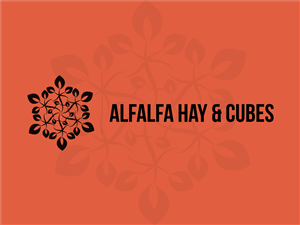 Logo Design by cmyk.crowd for this project | Design: #3410310