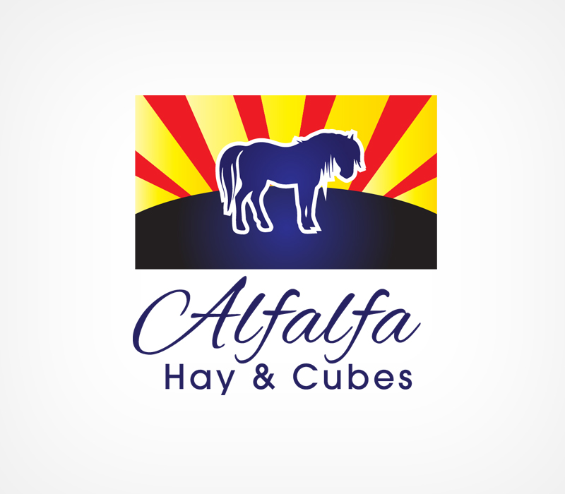 Logo Design by Spektron Designs for this project | Design #3431071