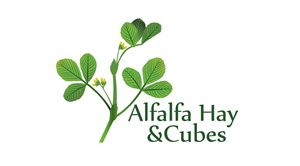 Logo Design by nathasa
