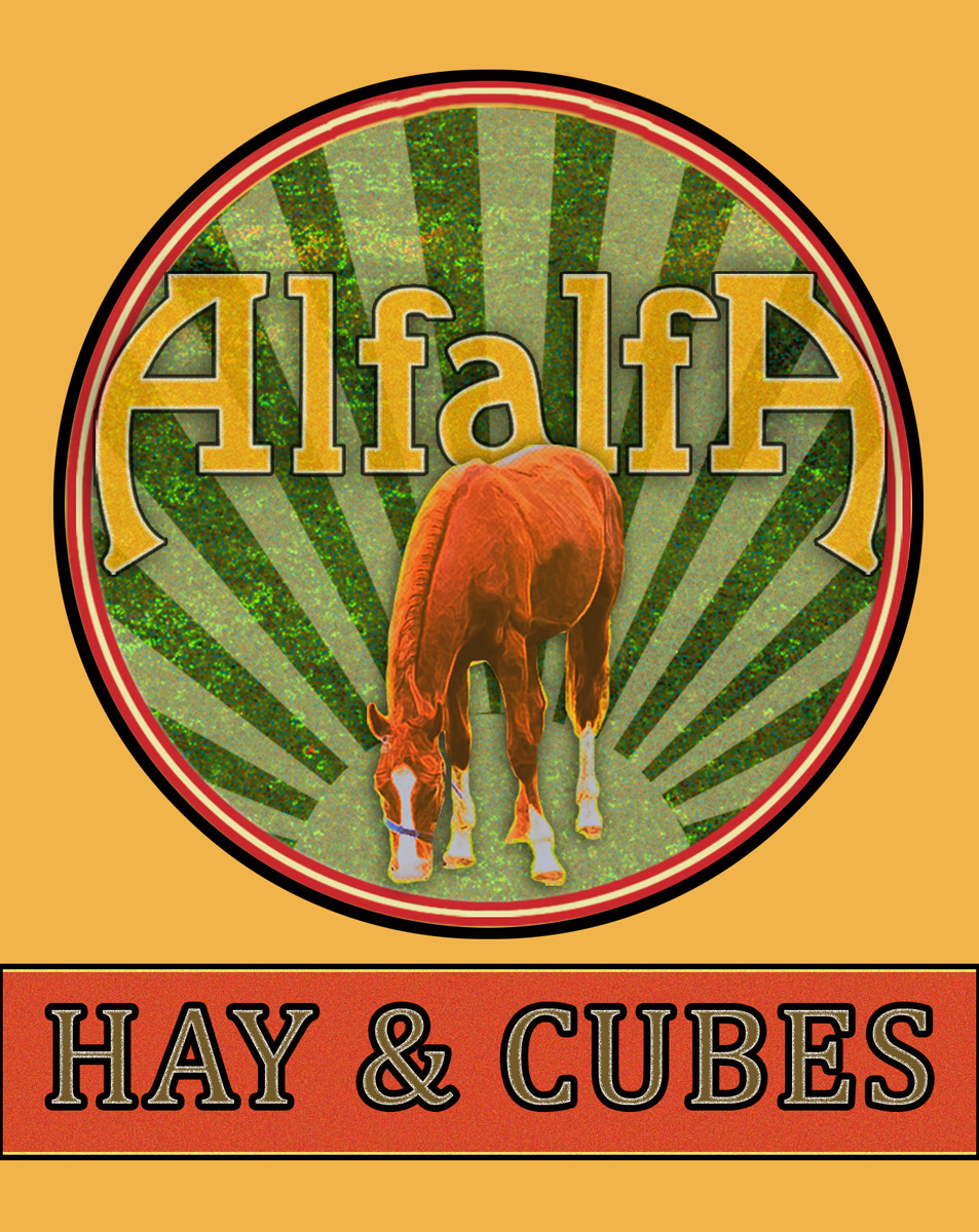 Logo Design by Bri for this project | Design #3415184