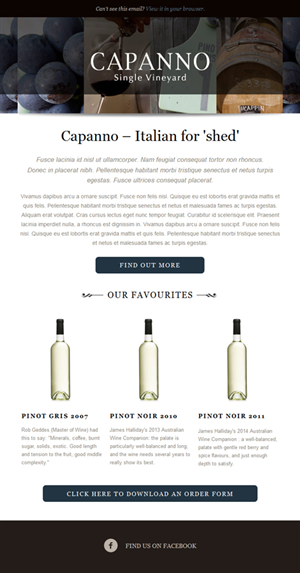 Newsletter Design by Veng