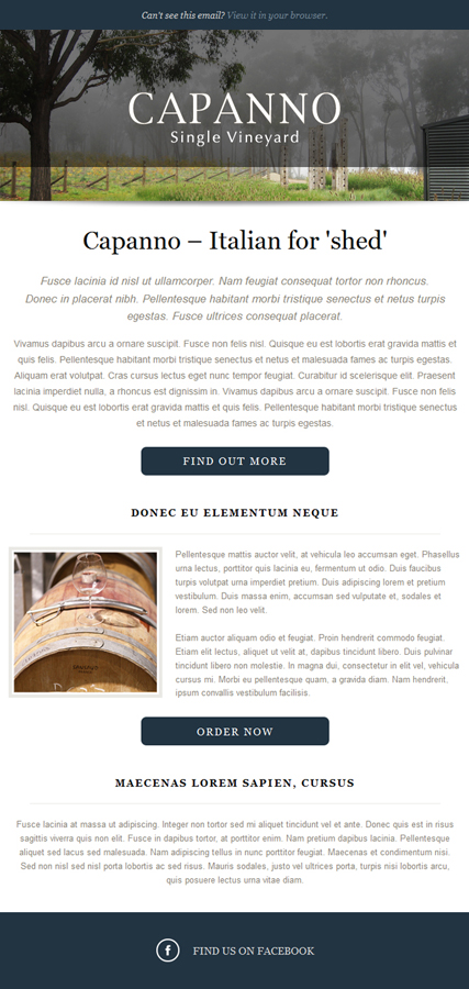 Newsletter Design by Veng for this project | Design #3383103