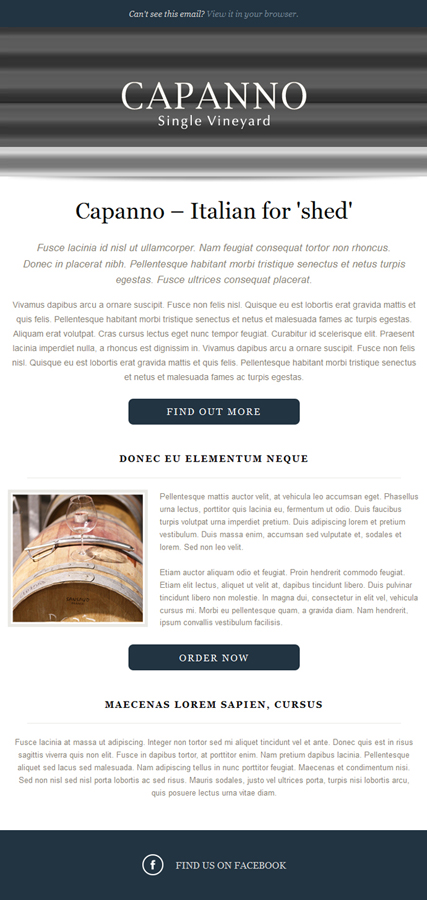 Newsletter Design by Veng for this project | Design #3383114