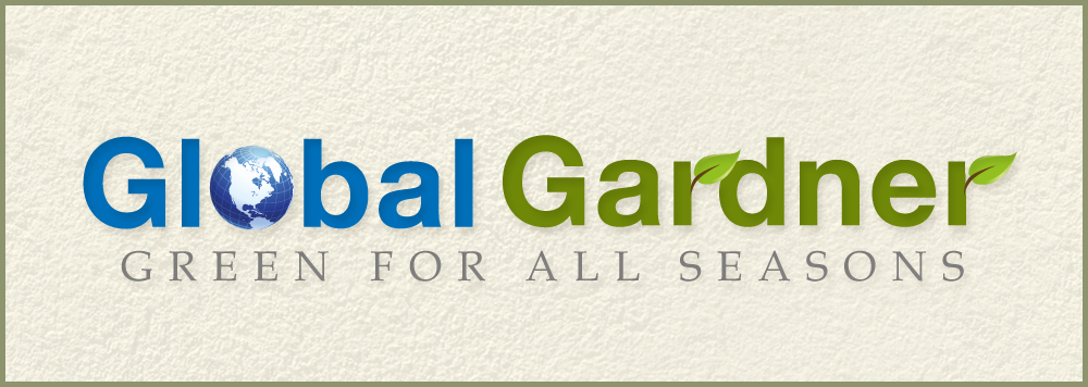 Logo Design by FLEXIN for this project | Design #3364733