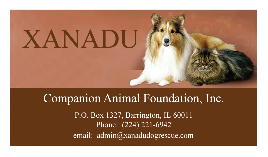 Business Card Design by Hunter Graphics for Xanadu Companion Animal Foundation | Design #3377249