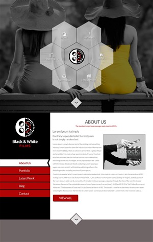 Wordpress Design by TechWise for Black & White Films | Design: #3391907