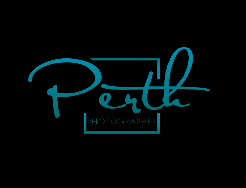 Logo Design by kangkanuvenchu for Premier Studio | Design #3408083