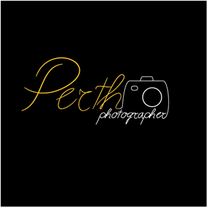 Logo Design by IANA for Premier Studio | Design: #3371728
