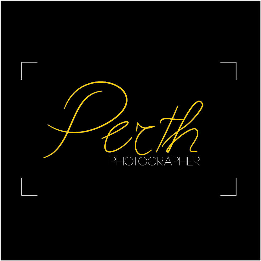 Logo Design by IANA for Premier Studio | Design #3371737