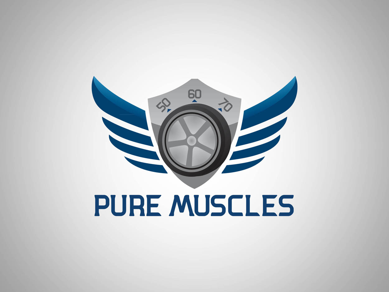 Diseño de Logo por Fayyaz para este proyecto | Diseño #842760