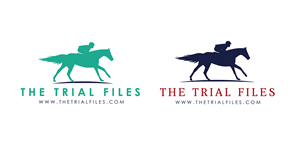 Logo Design by Marta Sobczak  for this project | Design: #3403205