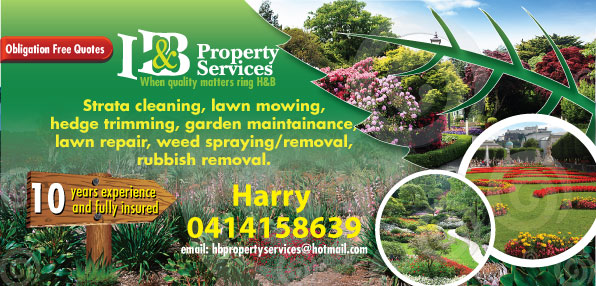 Brochure Design by HAMDIYA for H@B property services | Design #3400238